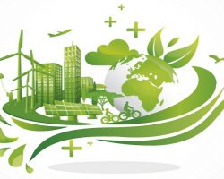 Investigación – Una mirada ambiental sobre la política y el mercado en el 2020