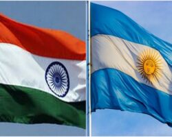 Oportunidades y desafíos en la relación Argentina-India