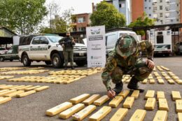 Militarización del combate contra el narcotráfico en Argentina
